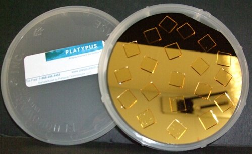 Platypus - תבנית פלייפוס שבבי זהב מופשטים - פליגת סיליקון 1 סמ x 1 סמ צ'יפס זכוכית דבקים על רקיק סיליקון מעולה זהב 100 ננומטר.