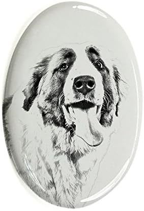 סן ברנרד, מצבה סגלגלה מאריחי קרמיקה עם תמונה של כלב