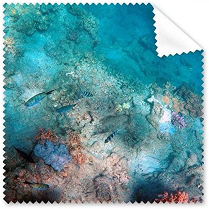 אוקיינוס צבעוני דגי מדע טבע תמונה ניקוי בד טלפון מסך משקפיים מנקה 5 יחידות